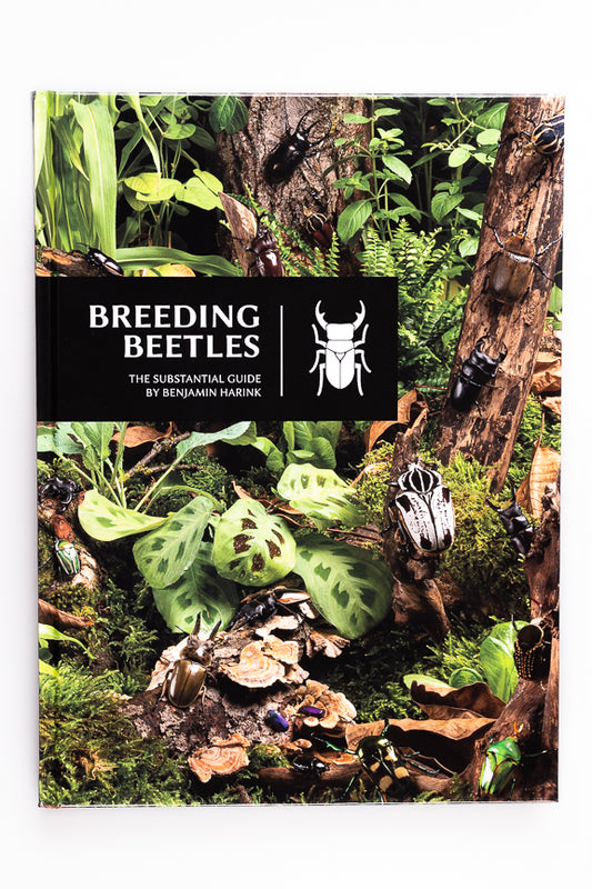 Breeding Beetles | The Substantial Guide  by Benjamin Harink