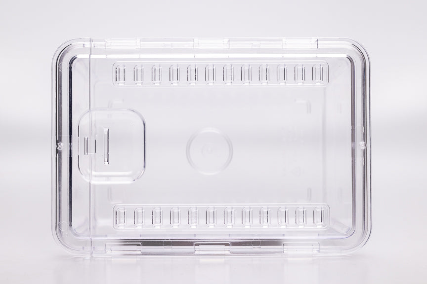 Daiso Plastic Insect Enclosures