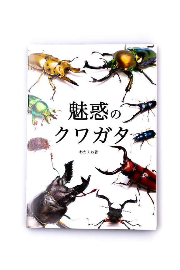 Fascinating Stag Beetles by Watakuwa