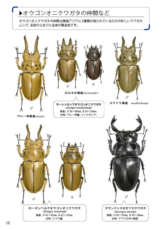 The Lucanid Beetles of the World by Toshiyuki Tsuchiya (Mushi-sha Publishing)