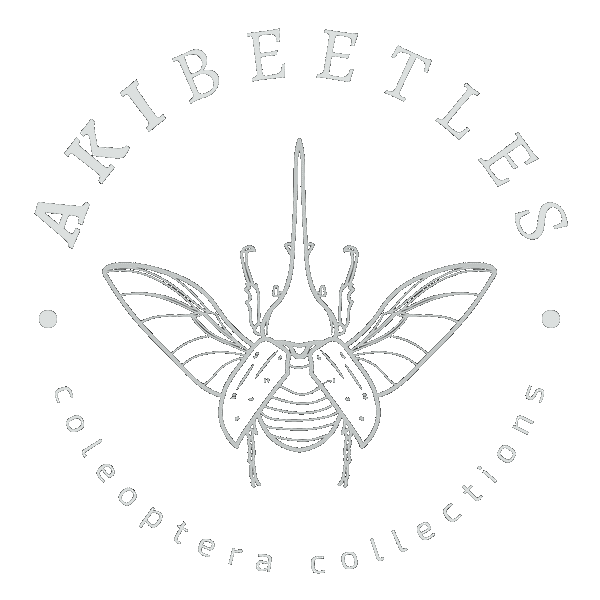 AKIbeetles