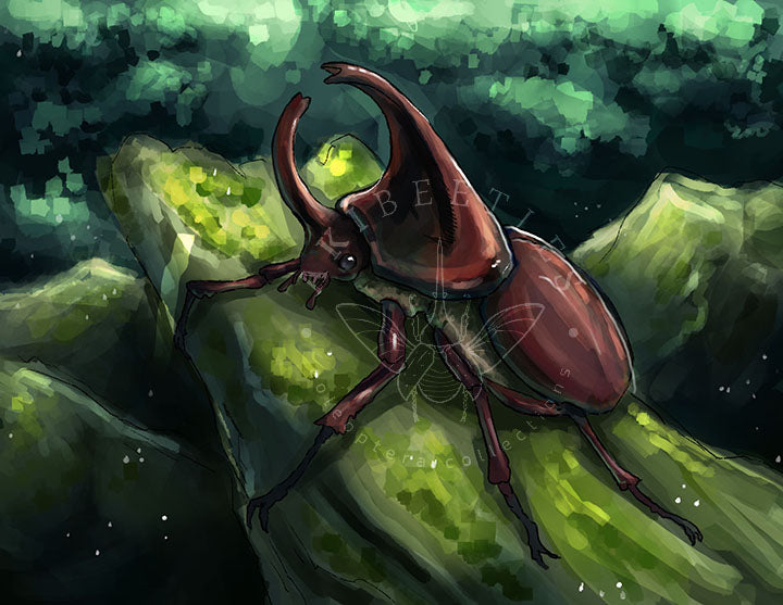 Beetle Greeting Cards (Blank inside)