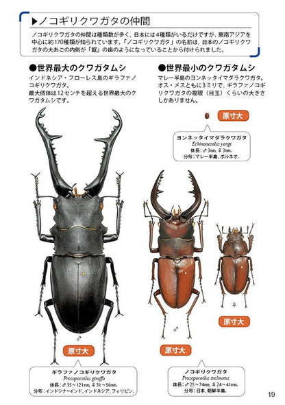 The Lucanid Beetles of the World by Toshiyuki Tsuchiya (Mushi-sha Publishing)