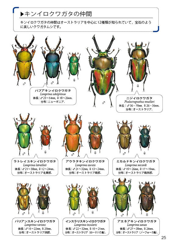 The Lucanid Beetles of the World by Toshiyuki Tsuchiya (Mushi-sha Publishing)