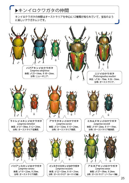 The Lucanid Beetles of the World by Toshiyuki Tsuchiya (Mushi-sha Publishing)