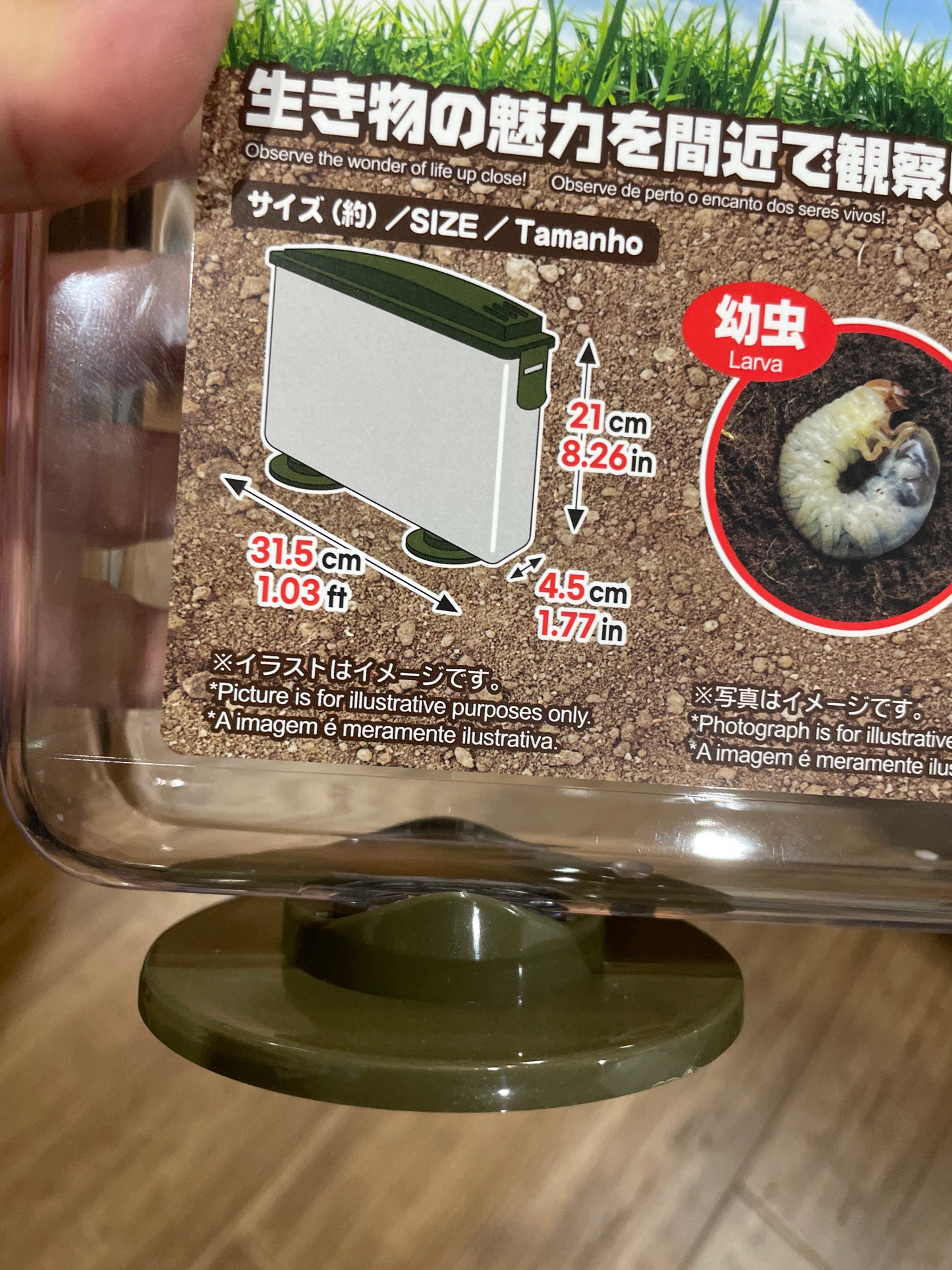 Daiso Thin Plastic Beetle Larva Enclosures