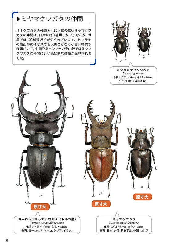 The Lucanid Beetles of the World by Toshiyuki Tsuchiya (Mushi-sha Publishing)