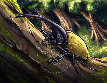 Beetle Greeting Cards (Blank inside)