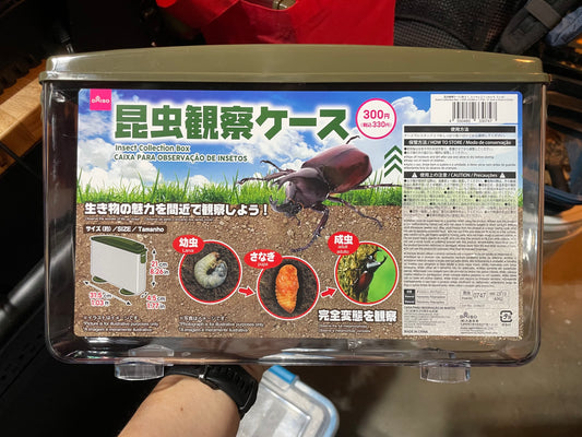 Daiso Thin Plastic Beetle Larva Enclosures